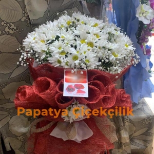  Erzurum Çiçek Gönder - Papatyam