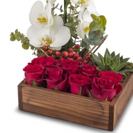 product-details